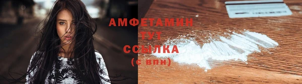стаф Верея