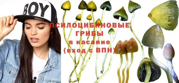 мяу мяу мука Верхнеуральск