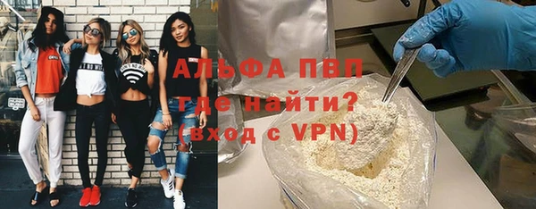 стаф Верея