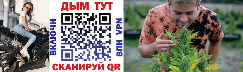 Бошки Шишки сатива  Афипский 